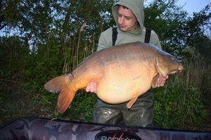 Mirror Carp