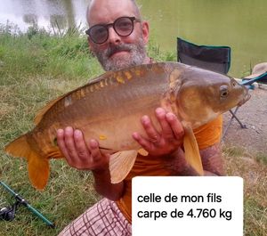 Mirror Carp