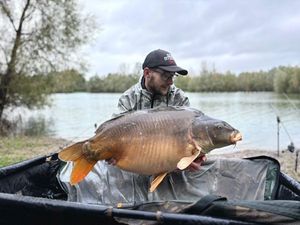 Mirror Carp