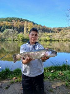 Rainbow Trout