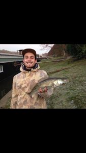 Zander