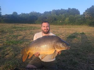 Mirror Carp