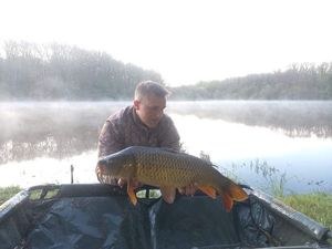 Common Carp