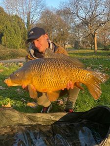 Common Carp