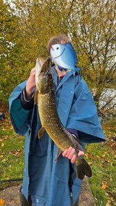 Northern Pike