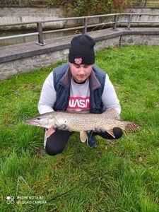 Northern Pike