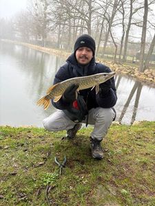 Northern Pike