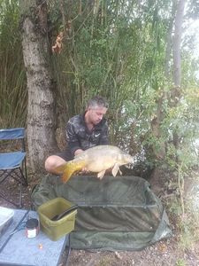 Mirror Carp