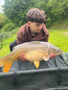 Mirror Carp