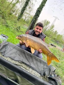 Leather Carp
