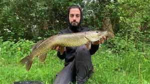 Northern Pike