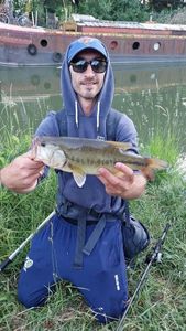 Largemouth Bass
