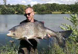 Silver Carp
