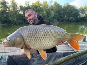 Common Carp