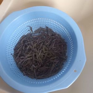 Brown Shrimp