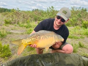 Mirror Carp