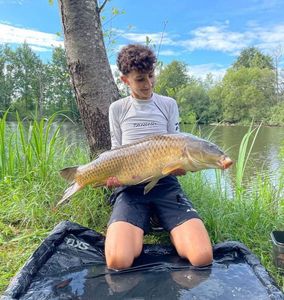 Common Carp