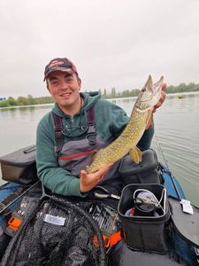 Northern Pike