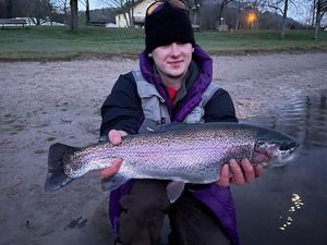 Rainbow Trout