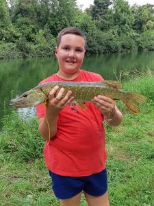 Northern Pike