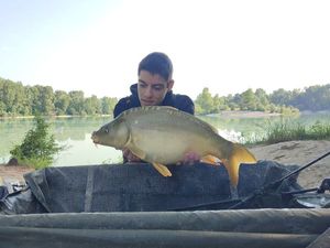 Mirror Carp