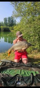 Common Carp