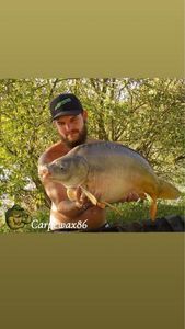 Leather Carp