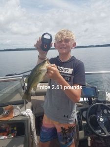 Largemouth Bass