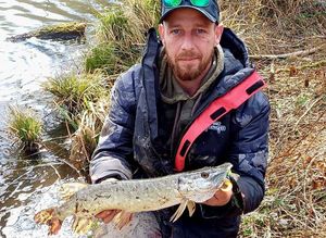 Northern Pike