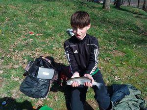 Rainbow Trout