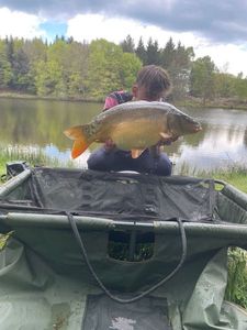 Mirror Carp