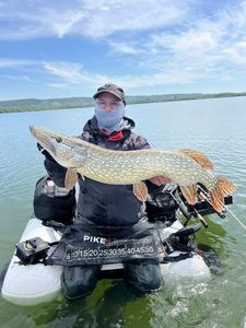 Northern Pike