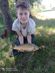 Mirror Carp