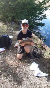 Common Bream