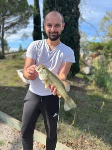 Smallmouth Bass