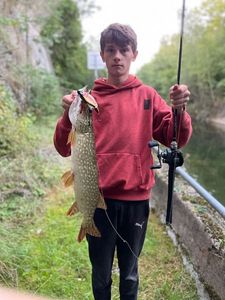 Northern Pike
