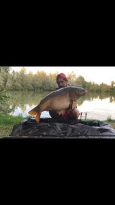 Leather Carp