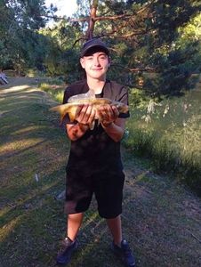 Common Carp