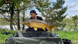 Mirror Carp