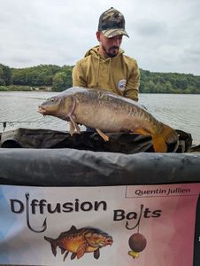 Mirror Carp