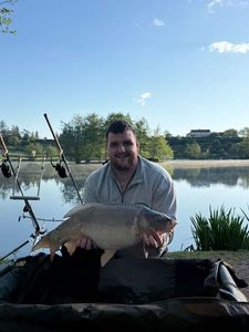 Mirror Carp