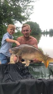 Common Carp