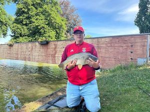 Common Carp