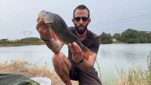 European Perch