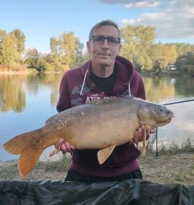Mirror Carp