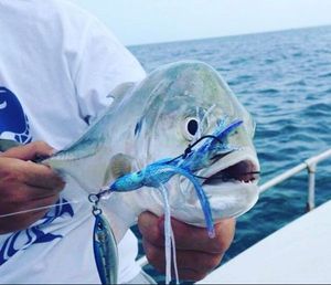 Bluefin Trevally