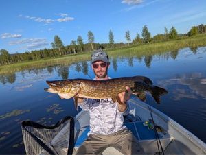Northern Pike