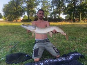Northern Pike