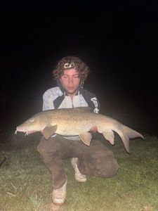 Barbel