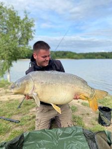 Mirror Carp